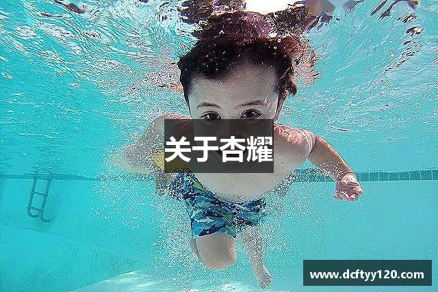 关于杏耀